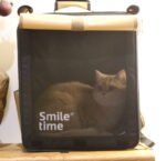 SMILE TIME 捲簾小將 貓咪包（承重15斤以內）