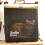SMILE TIME 捲簾小將 貓咪包（承重15斤以內）