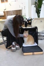 SMILE TIME 捲簾小將 貓咪包（承重15斤以內）：圖片 6