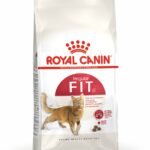 ROYAL CANIN 法國皇家 FHN CAT FIT 成貓全效健康營養配方