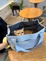 SMILE TIME  吐舌仔 貓咪包 灰黃色/灰粉色：圖片 6