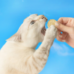 怪獸部落 貓用 開胃山海鮮肉餅 150g：圖片 3