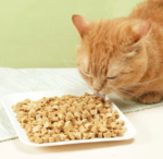 汪喵星球 貓用 貓咪脫水生肉糧 (小方粒型) 500g：圖片 4