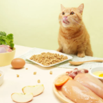 汪喵星球 貓用 貓咪脫水生肉糧 (小方粒型) 500g：圖片 7