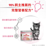 Royal Canin 法國皇家 FHN Cat Babycat Can 離乳母貓及初生貓配方罐頭 195g：圖片 3