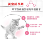 Royal Canin 法國皇家 FHN Cat Babycat Can 離乳母貓及初生貓配方罐頭 195g：圖片 4