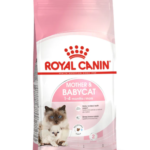 ROYAL CANIN 法國皇家 FHN CAT MOTHER & BABYCAT 離乳貓及母貓營養配方貓乾糧2kg/4kg